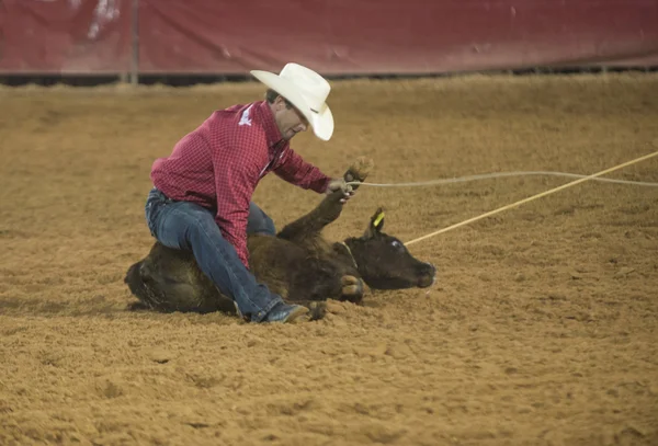 Clark County Fair and Rodeo — Stock Photo, Image