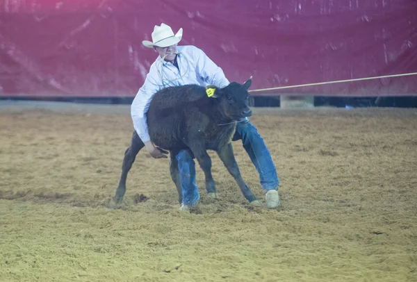 Clark County Fair and Rodeo — Stock Photo, Image