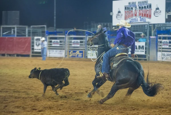 Clark county fair και ροντέο — Φωτογραφία Αρχείου