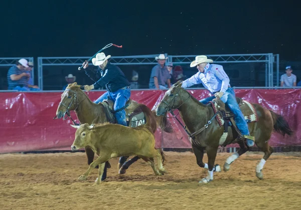 Clark County Fair e Rodeo — Fotografia de Stock