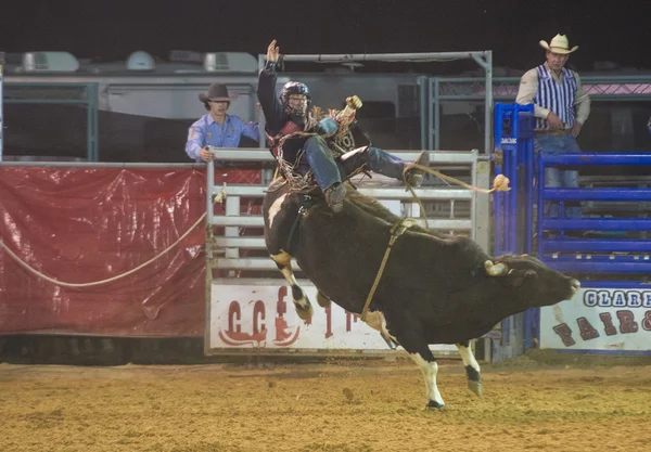 Clark county fair en rodeo — Stockfoto