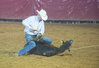 Clark County Fair and Rodeo clipart