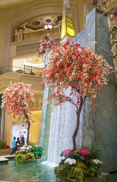 Las vegas — Foto Stock