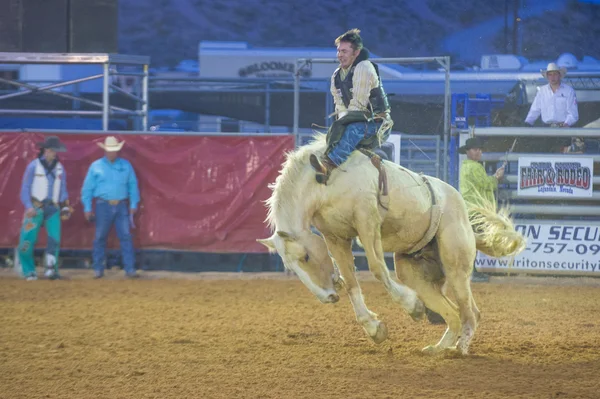 Die clark county fair und rodeo — Stockfoto