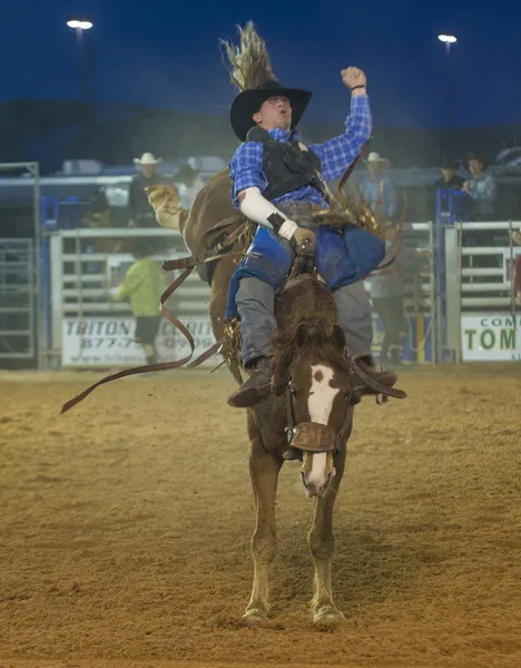 The Clark County Fair and Rodeo — Stock Photo, Image