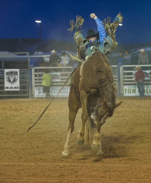 La fiera della contea di Clark e il Rodeo — Foto Stock