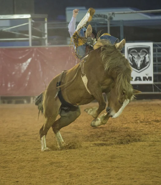 The Clark County Fair and Rodeo — Stock Photo, Image