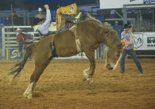 O Clark County Fair e Rodeo — Fotografia de Stock