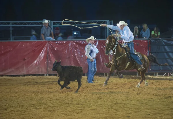 Clark county fair και ροντέο — Φωτογραφία Αρχείου