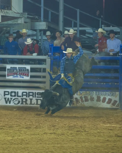 Clark county fair och rodeo — Stockfoto