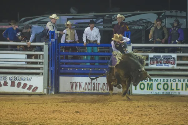 Clark county fair och rodeo — Stockfoto