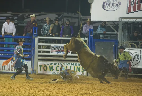 Clark county fair en rodeo — Stockfoto