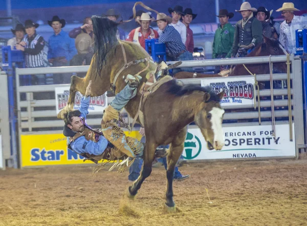 The Clark County Fair and Rodeo — Stock Photo, Image