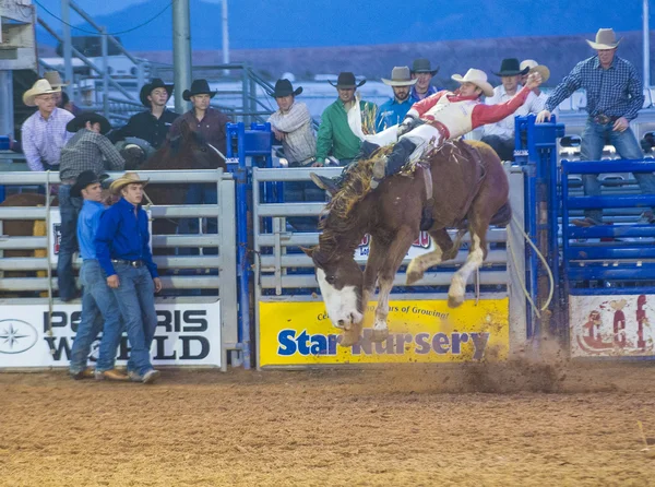 Die clark county fair und rodeo — Stockfoto