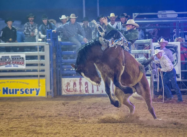 Clark county fair a rodeo — Stock fotografie