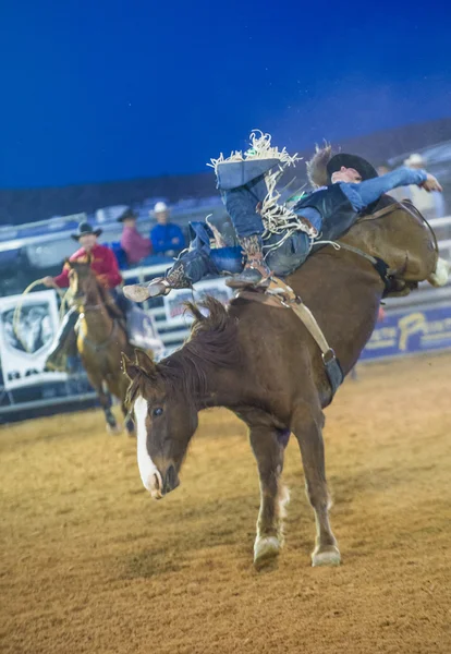 La fiera della contea di Clark e il Rodeo — Foto Stock