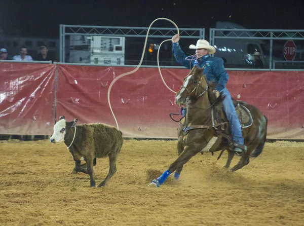 Feria y Rodeo del Condado de Clark — Foto de Stock