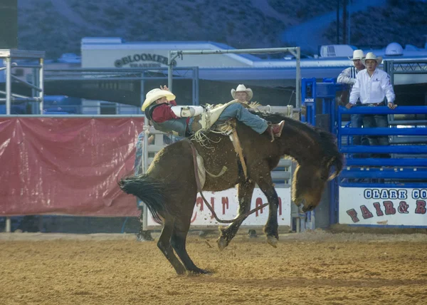 Clark county fair i rodeo — Zdjęcie stockowe