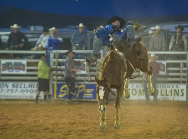 La fiera della contea di Clark e il Rodeo — Foto Stock