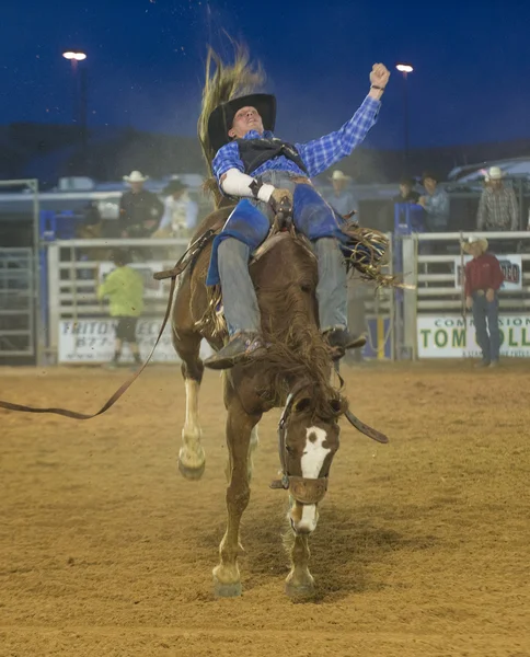 Το clark county fair και ροντέο — Φωτογραφία Αρχείου