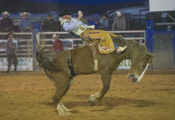 Clark county fair och rodeo — Stockfoto