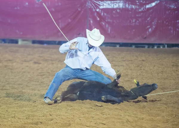 Clark County Fair and Rodeo — Stock Photo, Image