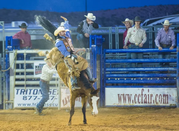 Clark county fair och rodeo — Stockfoto