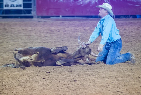 Kirmes und Rodeo — Stockfoto