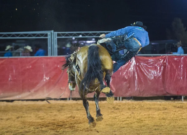 The Clark County Fair and Rodeo — Stock Photo, Image