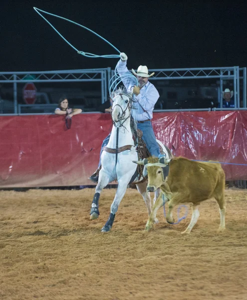 Clark county Fuar ve rodeo — Stok fotoğraf