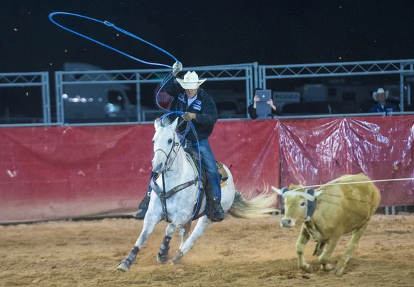 Clark county fair και ροντέο — Φωτογραφία Αρχείου