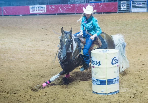 Rodeo de Reno — Foto de Stock