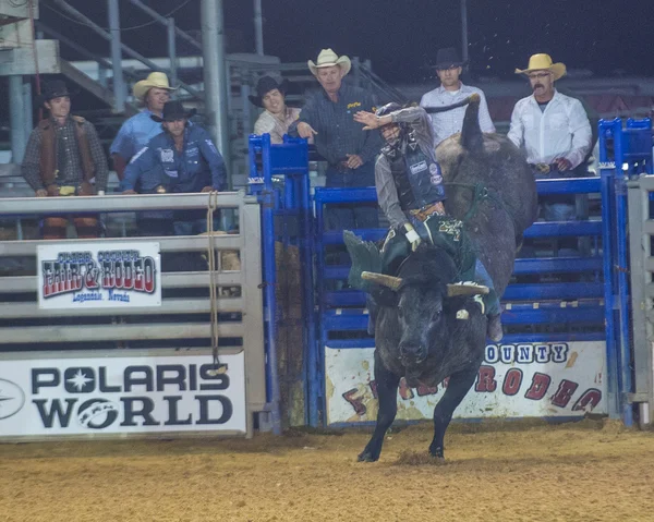 Feria y Rodeo del Condado de Clark —  Fotos de Stock