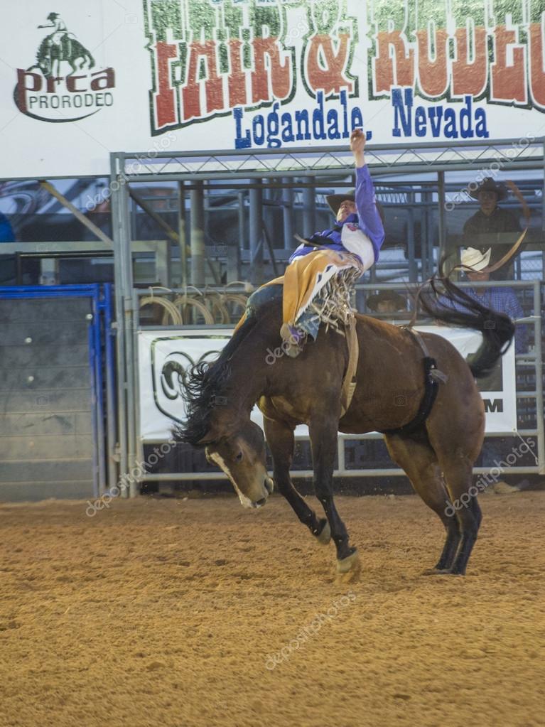 The Clark County Fair and Rodeo — Stock Editorial Photo © kobbydagan ...
