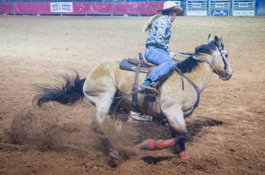 Reno Rodeo