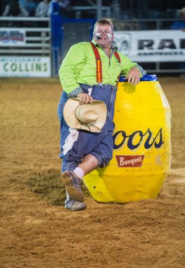 Clark county Fuar ve rodeo