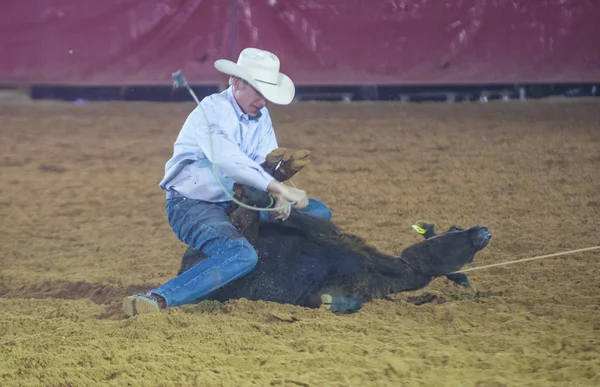 Clark County Fair and Rodeo — Stock Photo, Image