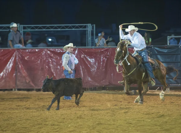 Clark county fair en rodeo — Stockfoto