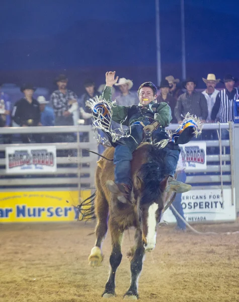 La fiera della contea di Clark e il Rodeo — Foto Stock