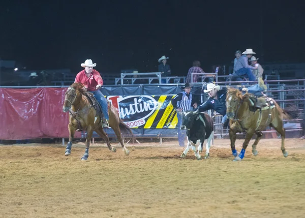 Clark county fair i rodeo — Zdjęcie stockowe