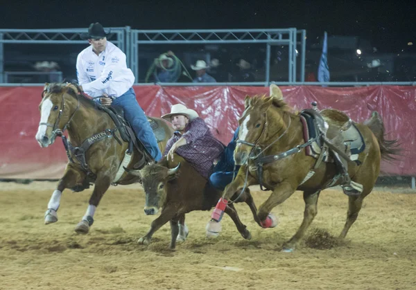 Feria y Rodeo del Condado de Clark — Foto de Stock