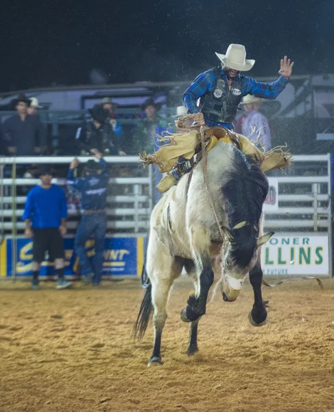 Feria y Rodeo del Condado de Clark — Foto de Stock