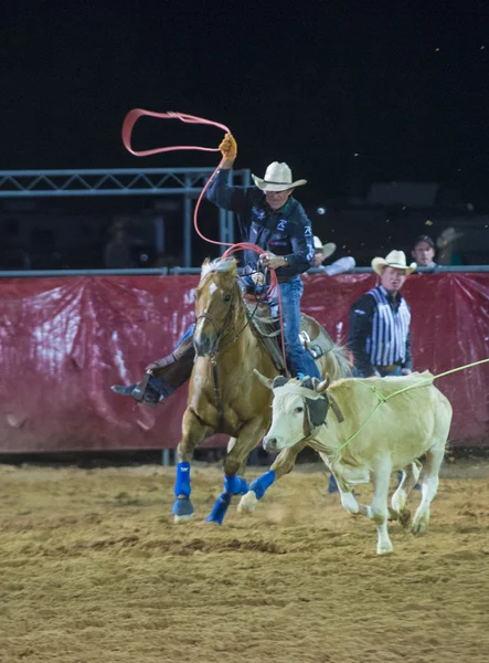 Clark county fair és rodeo — Stock Fotó