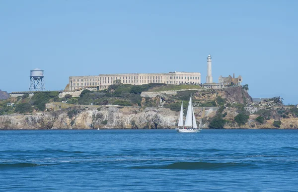 Alcatraz —  Fotos de Stock