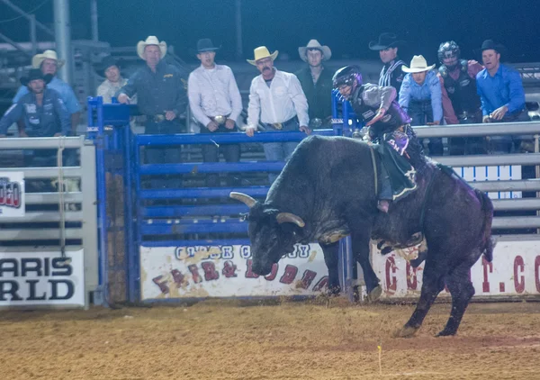 Clark county fair en rodeo — Stockfoto