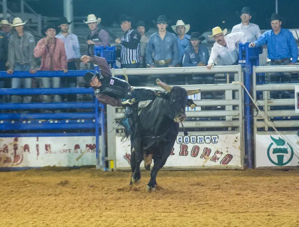 Clark county fair en rodeo — Stockfoto