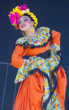 San Diego - Cinco De Mayo