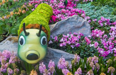 Bellagio Hotel Konservatuarı ve Botanik Bahçeleri