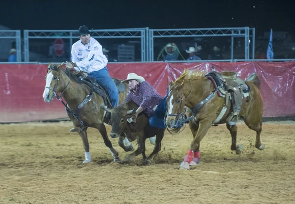 Clark county fair και ροντέο — Φωτογραφία Αρχείου