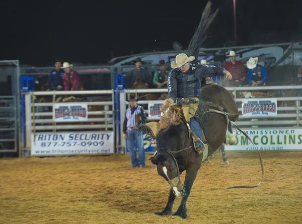 La fiera della contea di Clark e il Rodeo — Foto Stock